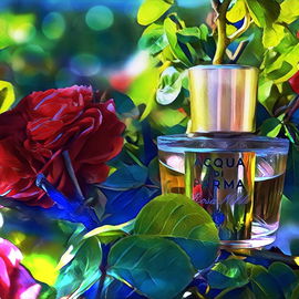 Rosa Nobile (Eau de Parfum) - Acqua di Parma