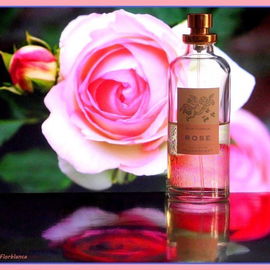 Classic Collection: Aqua Floralis - Rose - Florascent