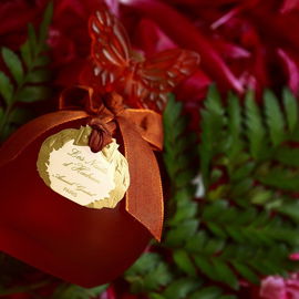 Vetiver (Parfum) - Roja Parfums