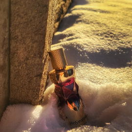 Snowy golden hour