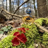 Zwei Schönheiten, eine ist limitiert und die andere ist eine Seltenheit! (by Valdi)