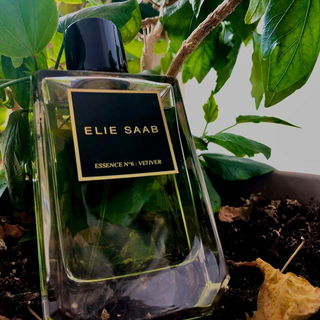 Essence N°6: Vetiver von Elie Saab