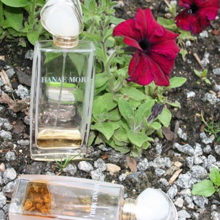 in meinem Garten aufgenommen :-)