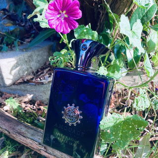 Interlude Black Iris - Amouage
