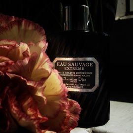 Eau Sauvage Extrême (1982) (Eau de Toilette Concentrée) - Dior
