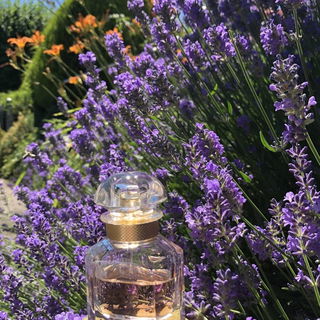 Mon Guerlain (Eau de Parfum) by Guerlain
