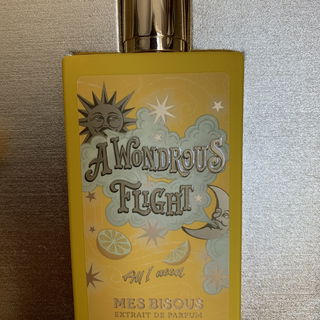 A Wondrous Flight - Mes Bisous