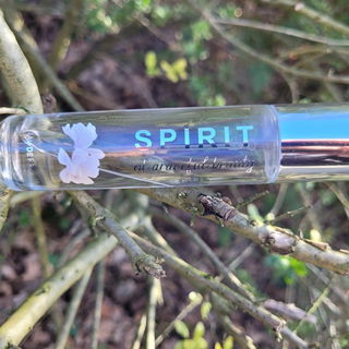 Spirit of Graceful Beauty von Spirit