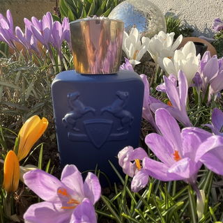 Percival von Parfums de Marly