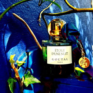 Die blaue Stunde… guten Start ins Frühlingswochenende, Ihr Lieben 🫶