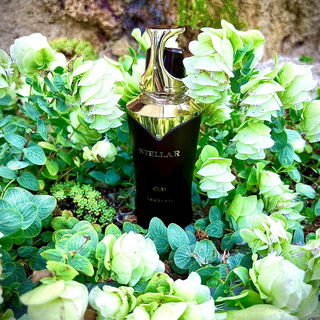 …📷🌍 Thank you. Danke schön. Merci beaucoup. Muchas gracias. Dōmo arigatō gozaimasu 💐…