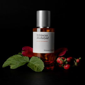 Hibiscus Mahajád - Maison Crivelli