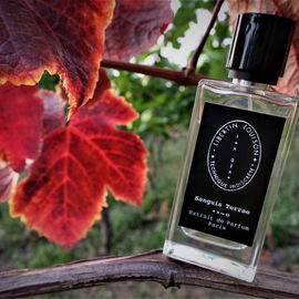 Vetiver Insolent - Miller Harris