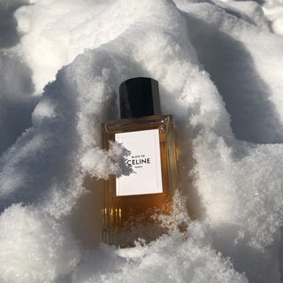 Verloren in Eis und Schnee