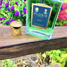 Ein Meer aus Blüten!