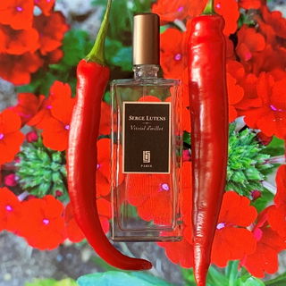Oliver - Strangers Parfumerie