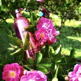 Crystal Flowers - Montale