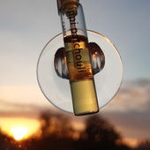 ...Herbstlicht...vielen lieben Dank für Eure lieben Worte und euren Besuch bei meinem Foto. Ich freue mich sehr. Lg 🥰🙋‍♀️ (von Kailani)