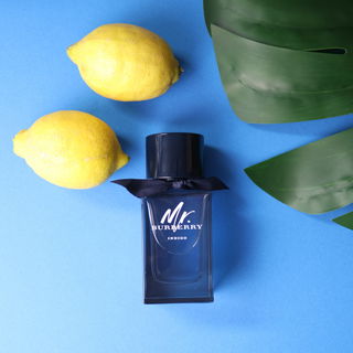 Mr. Burberry Indigo - Burberry