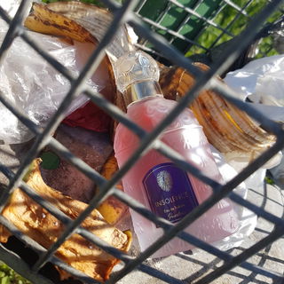 Lieber Fresh.. manchmal bin ich SCHRÄG drauf. So schlecht ist der Duft gar nicht