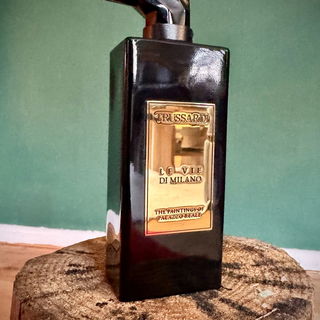 Le Vie di Milano - The Paintings of Palazzo Reale by Trussardi