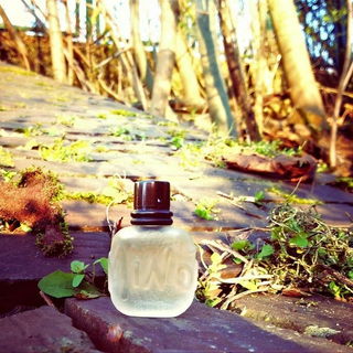 Minotaure (Eau de Toilette) von Paloma Picasso