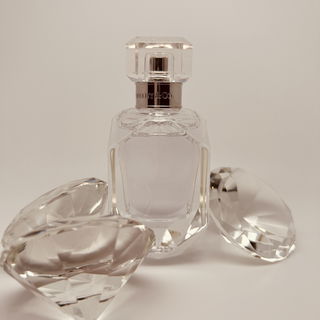 Girl of Now Forever - Elie Saab