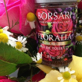 Floralia - Rosa Regina von Borsari 1870