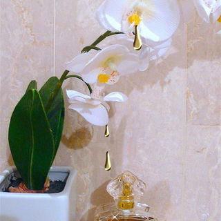 Shalimar (Eau de Toilette) von Guerlain