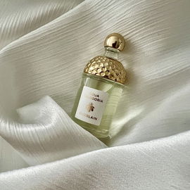 Pure Musk - Afnan Perfumes