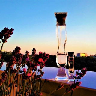 Hervé Léger - Hervé Léger