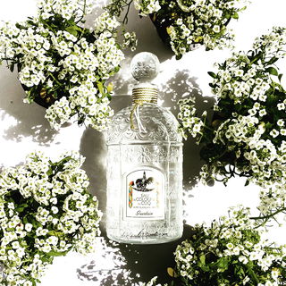 Der Balkon musste bepflanzt werden...es war sonnig und ich brauchte eine Erfrischung :-)