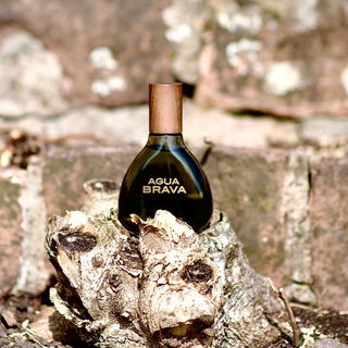 Wenn man lange draufschaut, wirkt’s fast wie ein Tierschädel - keine Sorge ist nur Holz 😉