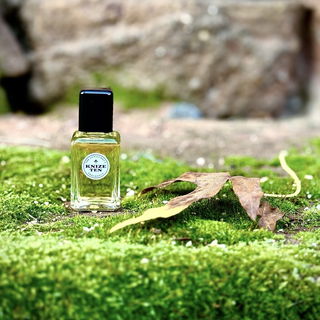 Danke fürs Vorbeischauen und die lieben Kommentare. LG 🙋‍♂️🥰💚