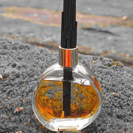 Nino Cerruti pour Femme (Eau de Toilette) - Cerruti