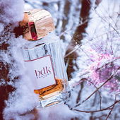 Es ist Frühling - but not today. (von Gandix)