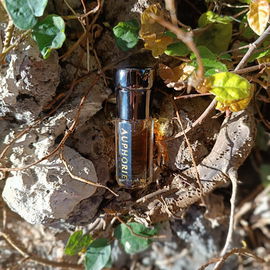 Gorgio - House of Heartistry / Heartistry Perfumery