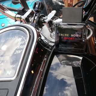 Encre Noire Sport von Lalique