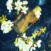 Leather Jardin, created by Jo Malone for Zara. A superb floral leather, with a slightly dusty, vintage feel, sitting somewhere between Miller Harris Cuir D'Oranger and Chanel Cuir de Russie, not that it's similar to any of these 2 giants, but it gives you an idea of how brilliant this perfume is. This perfume punches far above its weight and its quality to price ratio is beyond unbelievable.  A perfect example of a perfume done right which doesn't (have to) break the bank. I cannot recommend this enough, it's back up bottle worthy. (von MrFumejunkie)