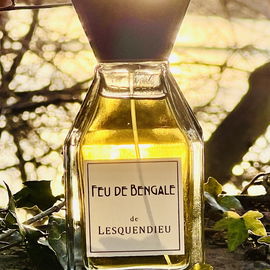 Feu de Bengale (2016) - Lesquendieu