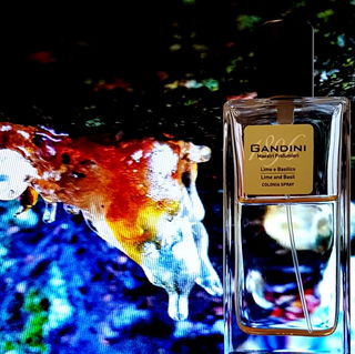 Baumharz vor der Erstarrung dann anzusehen beim Jovanbild