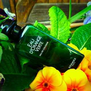 Eau d'Orange Verte von Hermès