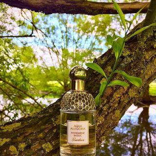 Aqua Allegoria Mandarine Basilic von Guerlain