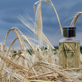 Flower by Kenzo (Eau de Parfum) - Kenzo