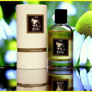 Fragranza Nº5 - Anthemis Nobilis - Ex Floribus Vinis