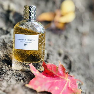 Parco Palladiano IV: Azalea - Bottega Veneta