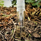 Ameisenland (von Floyd)