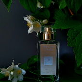 Träumerisch ins Dunkelwerden..... (by Camey5000)