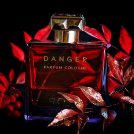 Danger pour Homme (Eau de Parfum) - Roja Parfums