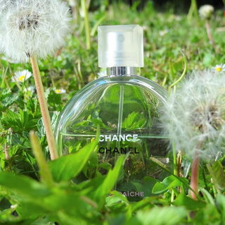 Chance Eau Fraîche (Eau de Toilette) von Chanel